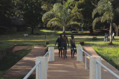 Lake Chivero